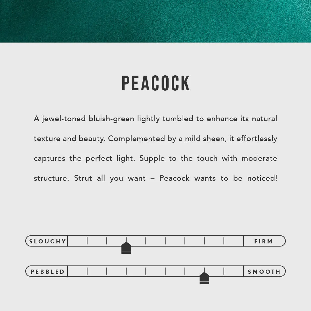 'Almost Perfect' Nimbus Pouch