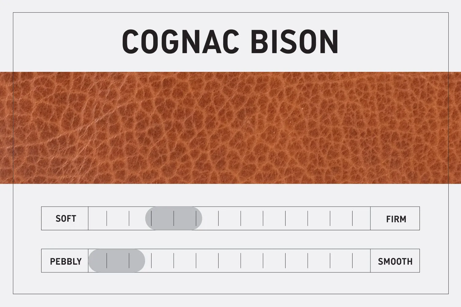 JANE LEATHER CROSSBODY - SMALL - COGNAC BISON