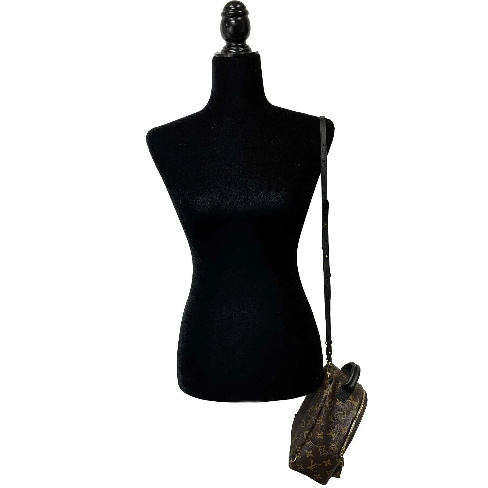 Louis Vuitton - Excellent - Mini Palm Springs - Brown - Crossbody / Backpack