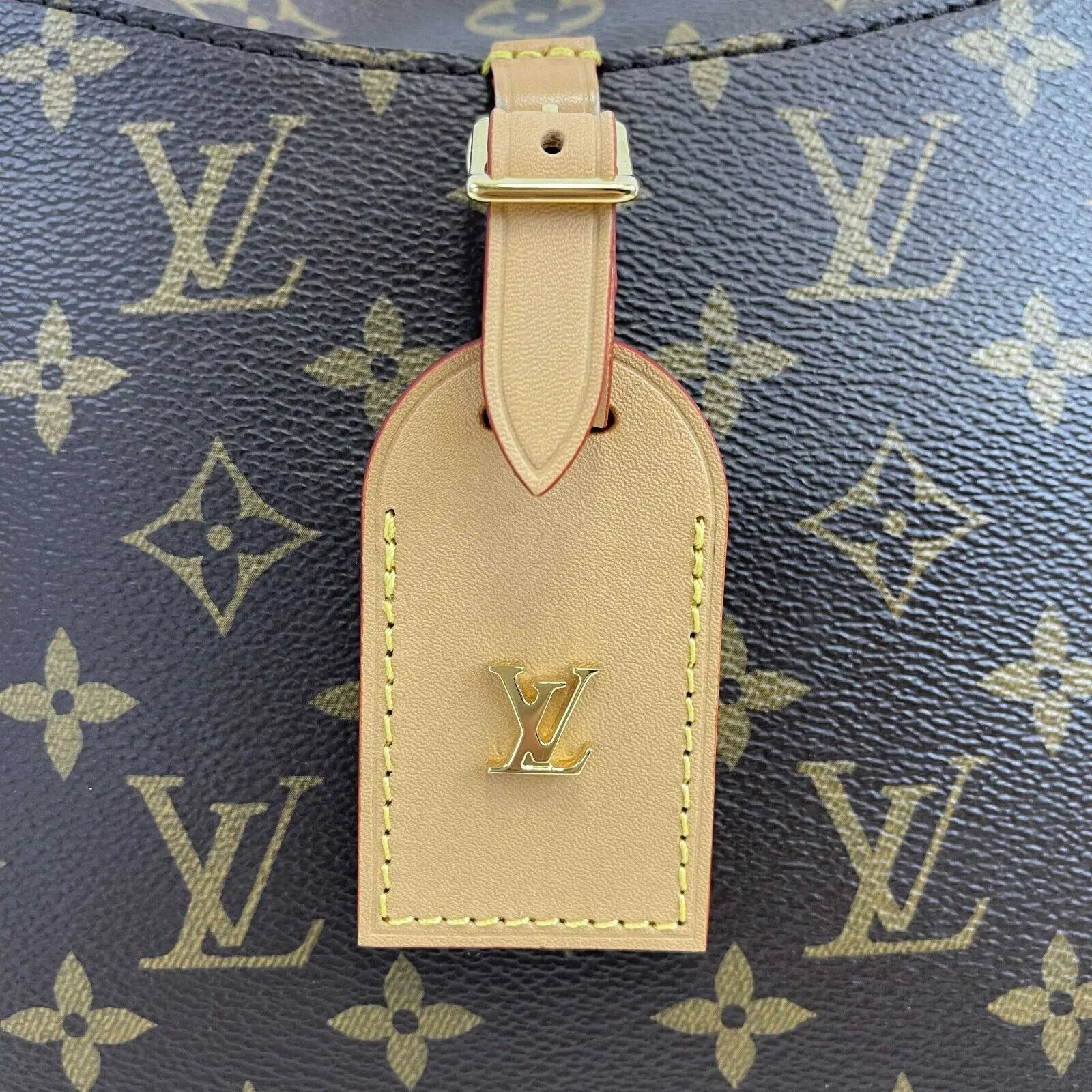 Louis Vuitton Odeon MM